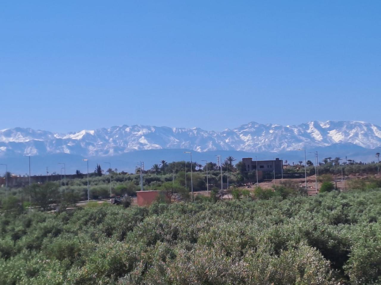 قطعة أرض سكنية R+2 (بيعت بالكامل)