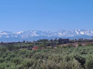 Residential plot R+2 (Sold Out)